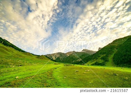 mountain view of Sonamarg, Jammu and Kashmir state 21615587