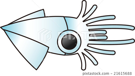 魷魚 21615688