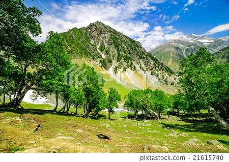 mountain view of Sonamarg, Jammu and Kashmir state 21615740