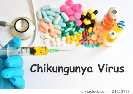 Drugs for Chikungunya virus 21615751