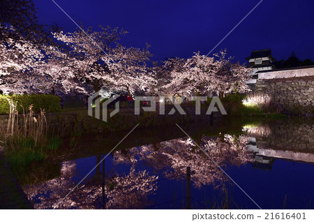 福岡城哈納米 福岡城哈納米 21616401