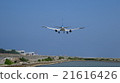 飛機降落 21616426