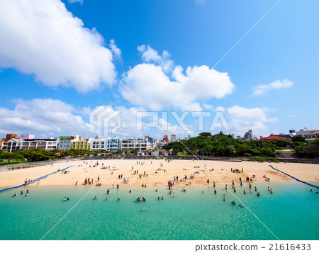 海灘上的海浪 21616433