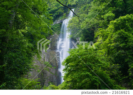 初夏的Earbon瀑布 21616921