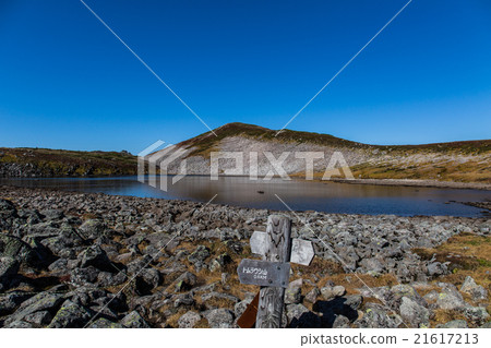 Branch of North Border of Tomurashi Mountain. September Branch of North Border of Tomurashi Mountain. September 21617213