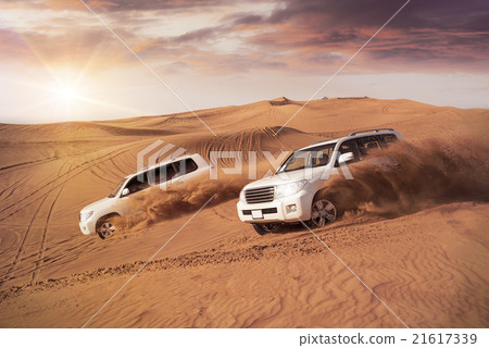 Desert Dune Bashing 21617339