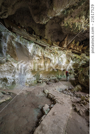 Traditional burial site in Tana Toraja 21617529