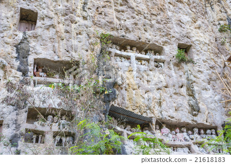 Traditional burial site in Tana Toraja 21618183