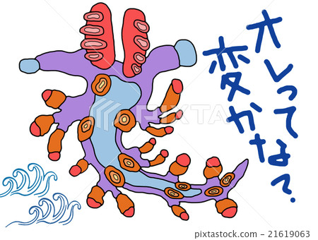 Rouge Minnow 21619063
