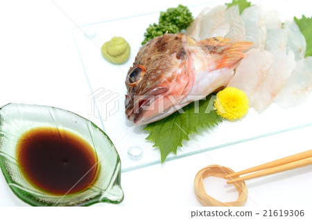 sashimi sashimi 21619306