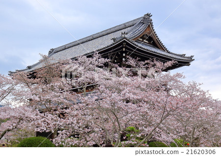 Nekoji寺門 21620306