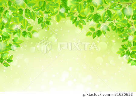 Fresh green 21620638