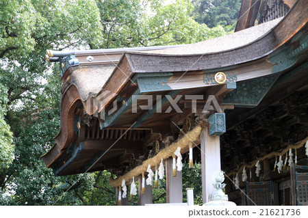 琴平神社 21621736