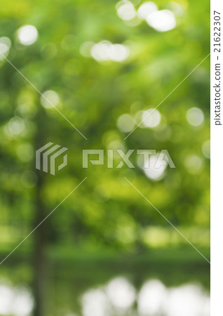 Nature green bokeh from tree background Nature green bokeh from tree background 21622307
