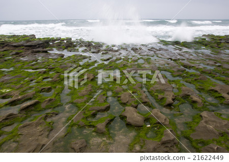 老梅綠石槽 21622449