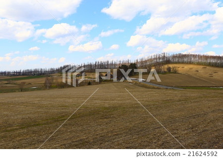 View from San-ai no Oka Observatory Park in April 21624592