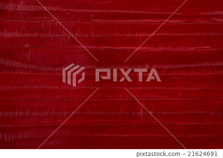 Snake skin in the red color 21624691