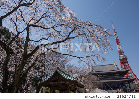 Zojoji和東京鐵塔的寶藏 Zojoji和東京鐵塔的寶藏 21624711