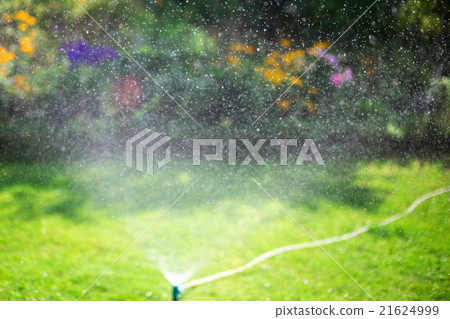 Sprinkler watering lawn in garden 21624999