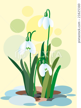 Snowdrops on a abstract background. 21625380