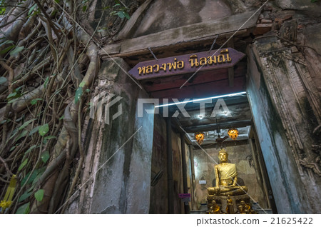 Wat Bang Kung, The Banyan tree temple, Thailand 21625422