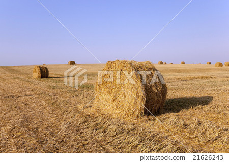 stack of straw   21626243