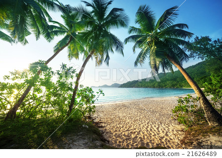 beach Takamaka, Mahe island, Seychelles beach Takamaka, Mahe island, Seychelles 21626489