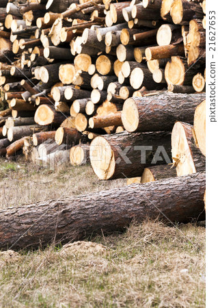 photographed closeup timber  21627653