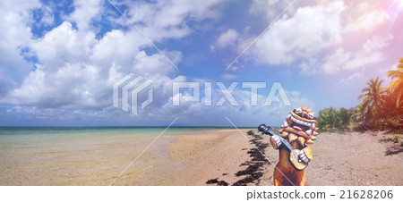 沖繩島群島沖繩島海灘在沖繩島 沖繩島群島沖繩島海灘在沖繩島 21628206