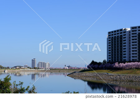 Sayama pond Spring scene 21628978