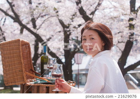 Hanami清酒 21629076