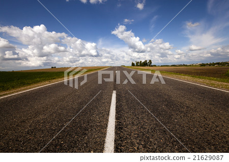Summer road .  field 21629087