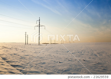 winter field , sunset winter field , sunset 21629559