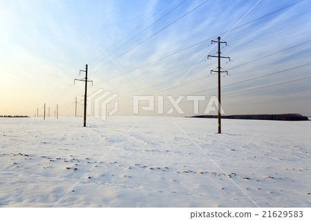 winter field , sunset winter field , sunset 21629583
