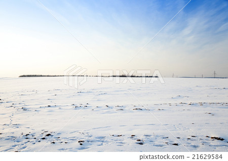 snow covered field snow covered field 21629584