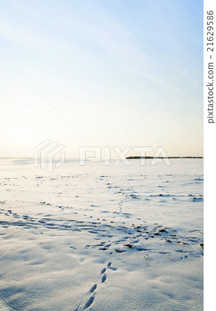 the field covered with snow the field covered with snow 21629586