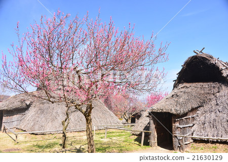 上野別墅歷史公園 上野別墅歷史公園 21630129