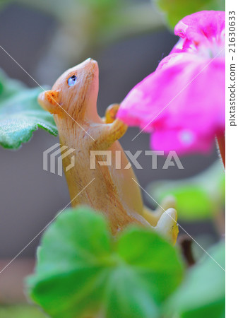 Cute animals 21630633