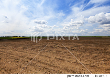 plowed land. close-up   21630905