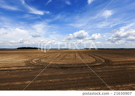 plowed field. sky plowed field. sky 21630907