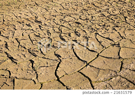 cracked earth field   21631579