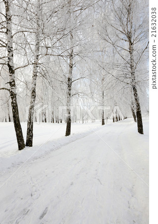 Snow covered road Snow covered road 21632038