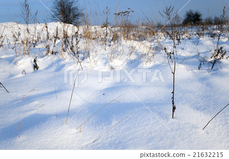 snow covered field   21632215
