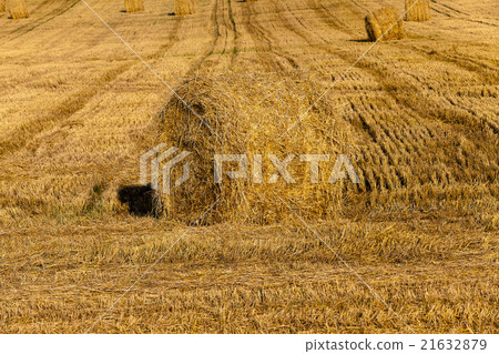 haystacks straw , summer haystacks straw , summer 21632879
