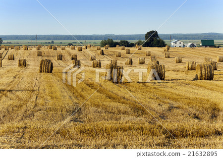 haystacks straw , summer haystacks straw , summer 21632895