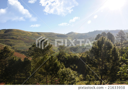 landscape field on mountain phu hin rong kla 21633938