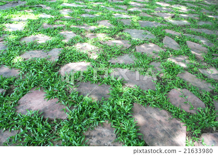 Human view Grass and rock in garden 21633980