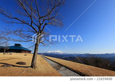 Forest of the view of the forest in the forest Forest of the view of the forest in the forest 21634600