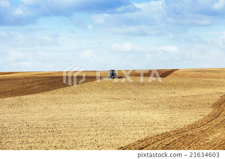tractor in the field tractor in the field 21634603