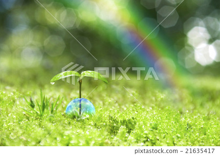 Ecology Ecology 21635417